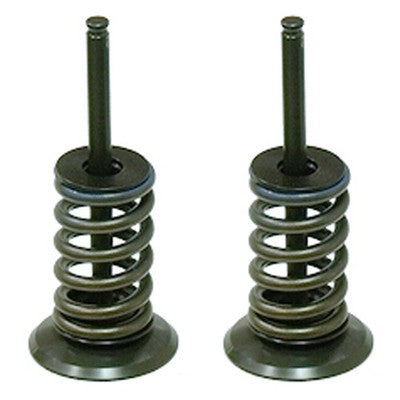 Solid Spare Psychic Intake Valve Kit for Honda CRF450R fits 2002-2008 Models