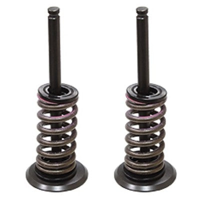 Solid Spare Psychic Exhaust Valve Kit for Yamaha YZ450F fits 2010 2011 2012 2013 Models