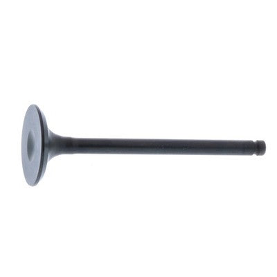 Engine Exhaust Valve fits Honda Recon 250 2x4 TRX250 1997 1998 1999 2000 2001