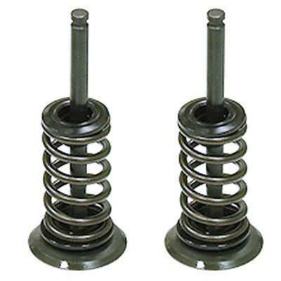 Solid Spare Psychic Exhaust Valve Kit for Yamaha 2003-2009 YZ450F & 2003-2015 WR450F