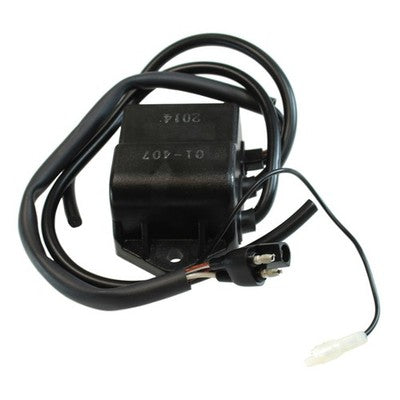 Solid Spare SPI CDI Modular Unit for Polaris Snow 1986-1989 Indy 400 Replaces OEM# 3083725