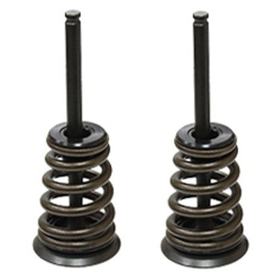 Solid Spare Psychic Intake Valve Kit for KTM fits some 2003-2006 450, 525, 540 & 560 Models