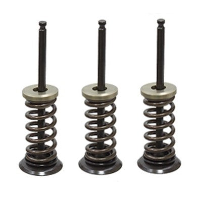 Solid Spare Psychic Intake Valve Kit for Yamaha WR250F fits 2001-2013 Models