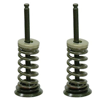 Solid Spare Psychic Exhaust Valve Kit for Yamaha YZ250F fits 2001-2013 & for GAS GAS EC250F