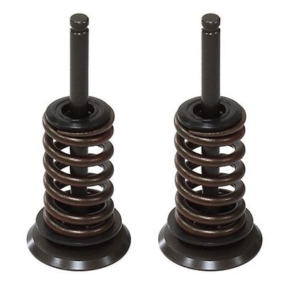 Solid Spare Psychic Exhaust Valve Kit for Kawasaki KX450F fits 2009-2015 Models