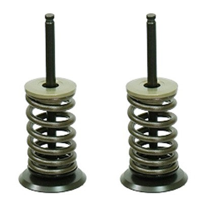 Solid Spare Psychic Intake Valve Kit for Kawasaki KX250F fits 2009-2010 Models