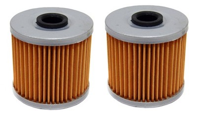 2 Pack of Oil Filters for Kawasaki Bayou 220, 250 & 300, Lakota 300 & Mojave 250