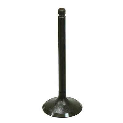 Bronco Engine Intake Valve for Yamaha Big Bear 350, Moto-4 350 & TerraPro
