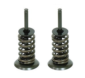 Solid Spare Psychic Intake Valve Kit for Honda CRF450X fits 2005-2017 Models