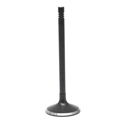 Solid Spare Engine Intake Valves Fit for GM Chevy Equinox GMC Terrain Buick Regal *8