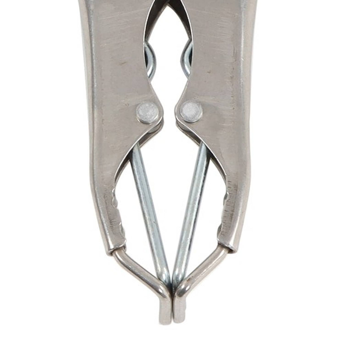 Solid Spare Castration Tail Docker Pliers And 100 Marking Rings For Pigs, Sheep, Animals