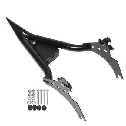 Solid Spare Detachable Rear Passenger Sissy Bar Backrest For Sportster 1200 883 2004-2023