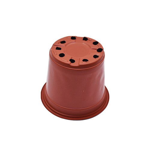 Solid Spare 100 Pack Plastic Plant Flower Starting Pots Plant Nursery Seedlings 16×14×11cm