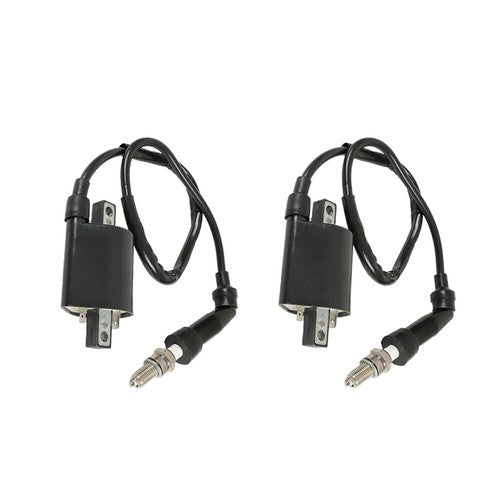 Solid Spare For Suzuki Intruder VS1400 1987-2009 2 x Ignition Coil & Spark Plug