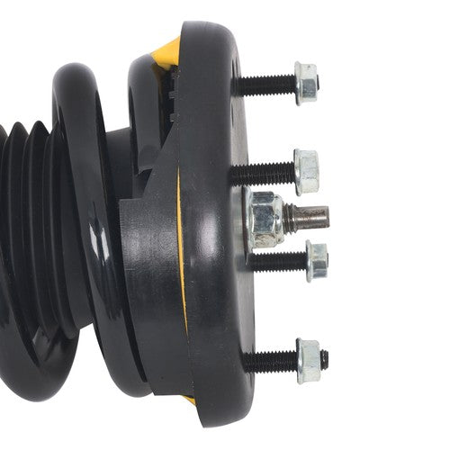 Solid Spare For Jaguar XJ Series 10-18 Pair Rear Shock Struts Assys Coil Spring w/o Electric