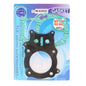 Solid Spare New Gasket Kit for Honda Recon TRX250 1997-2001 12191-HM8-000 12251-HM8-000