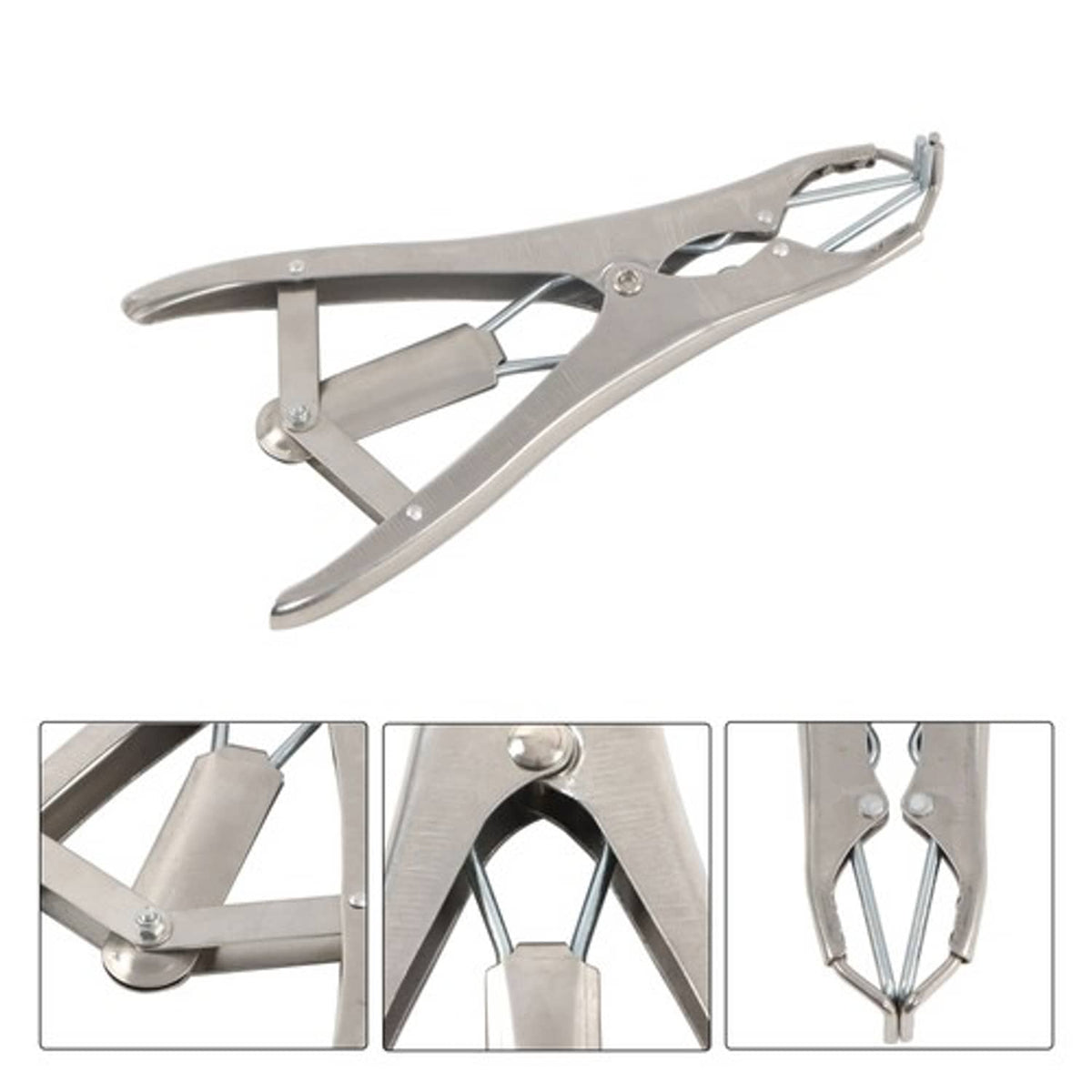 Solid Spare Castration Tail Docker Pliers And 100 Marking Rings For Pigs, Sheep, Animals