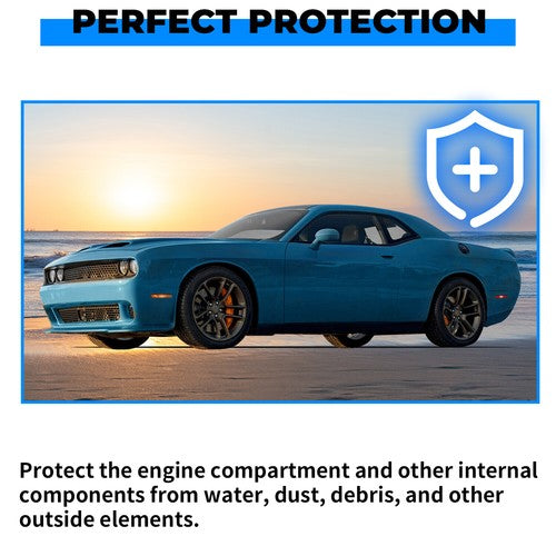 Solid Spare Fit For 08-22 Dodge Challenger Front Bumper Hood Weatherstrip Seal w/ Rivets