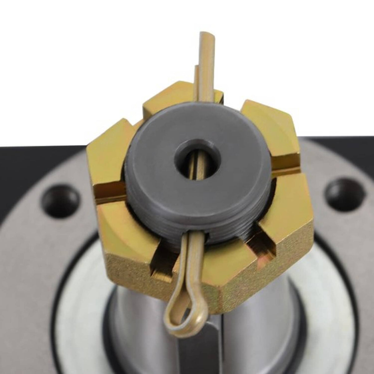 Solid Spare New Wheel Motor For Parker TF0240LS080AAFB TF0240LS080AAKY Scag 481529 482639