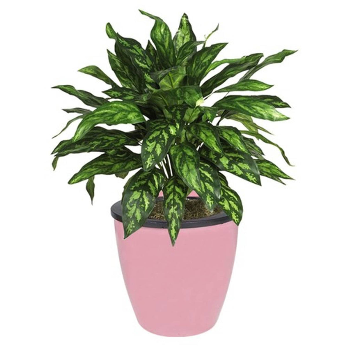 Solid Spare Pink Self-Watering Plant Flower Pot Wall Hanging Plastic Planter Garden 7 Pack
