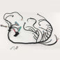 Solid Spare Fit For 2003-2007 LS Vortec Standalone Wiring Harness Drive By Wire w/ 4L60E New