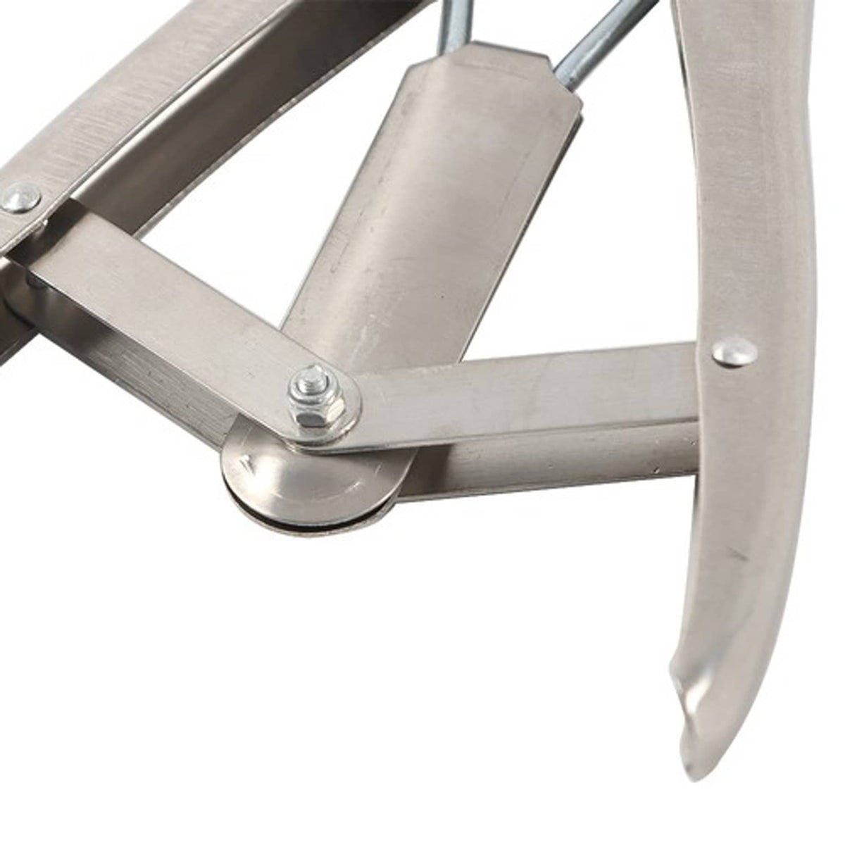 Solid Spare Castration Tail Docker Pliers And 100 Marking Rings For Pigs, Sheep, Animals