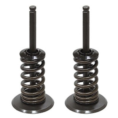 Solid Spare Psychic Intake Valve Kit for KTM 2012-2019 350 EXC-F & 2012-2016 350 XCF-W