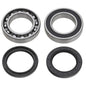 Solid Spare SPI Chain Case Bearing & Seal Kit Lower Shaft for Arctic Cat many 2012-2018 Snow