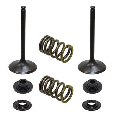 Solid Spare Psychic Intake Valve Kit for Suzuki 2008-2022 RM-Z450 & 2010/2017-2019 RMX450Z