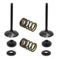 Solid Spare Psychic Intake Valve Kit for Suzuki 2008-2022 RM-Z450 & 2010/2017-2019 RMX450Z