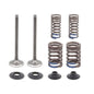 Solid Spare Psychic Intake Valve Kit for Honda CRF250F fits 2019-2025 Models - XU-09567IK