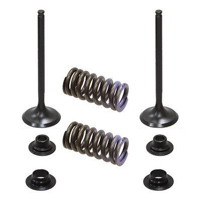 Solid Spare Psychic Intake Valve Kit for Honda CRF150R & CRF150RB Expert fits 2007-2023