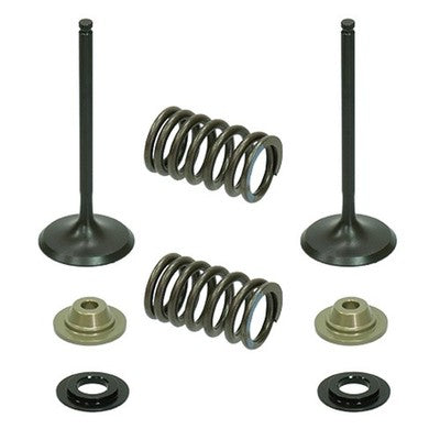 Solid Spare Psychic Intake Valve Kit for Kawasaki KX250F fits 2009-2010 Models
