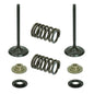 Solid Spare Psychic Intake Valve Kit for Kawasaki KX250F fits 2009-2010 Models