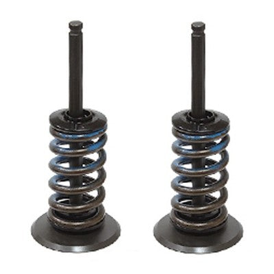 Solid Spare Psychic Intake Valve Kit for KTM 2013-2015 350 SX-F & 2013-2015 350 XC-F