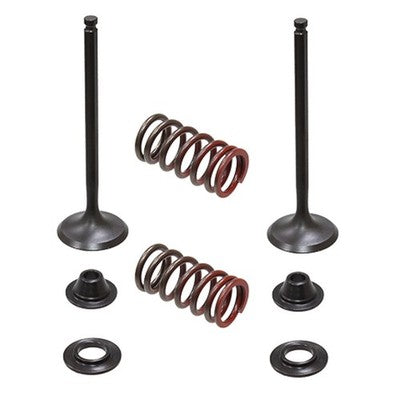 Solid Spare Psychic Exhaust Valve Kit for Yamaha WR250F fits 2001-2013 Models