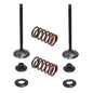 Solid Spare Psychic Exhaust Valve Kit for Yamaha WR250F fits 2001-2013 Models