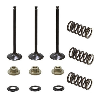 Solid Spare Psychic Intake Valve Kit for Yamaha WR250F fits 2001-2013 Models