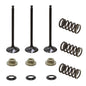 Solid Spare Psychic Intake Valve Kit for Yamaha WR250F fits 2001-2013 Models