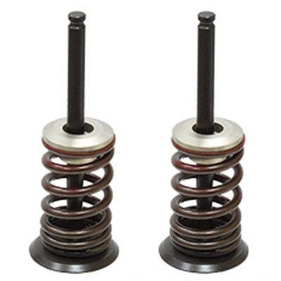 Solid Spare Psychic Exhaust Valve Kit for Suzuki RM-Z450 fits 2007 Model