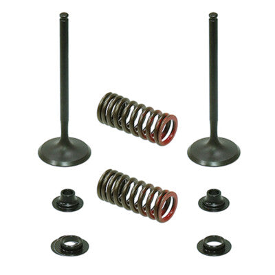Solid Spare Psychic Intake Valve Kit for Honda CRF250R fits 2010 2011 2012 2013 2014 2015