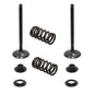 Solid Spare Psychic Exhaust Valve Kit for KTM 2012-2019 350 EXC-F & 2012-2016 350 XCF-W