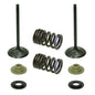 Solid Spare Psychic Intake Valve Kit for Kawasaki KX250F fits 2007-2008 Models