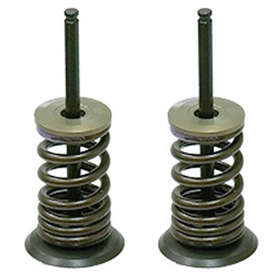 Solid Spare Psychic Intake Valve Kit for Kawasaki KX250F fits 2007-2008 Models