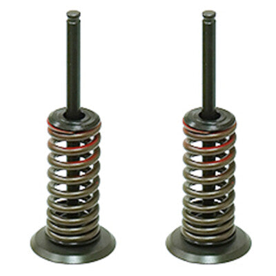 Solid Spare Psychic Intake Valve Kit for Honda CRF250R fits 2010 2011 2012 2013 2014 2015