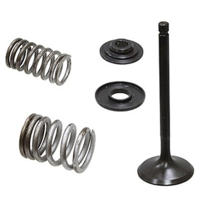 Solid Spare Psychic Intake Valve Kit for Yamaha Raptor 250 2008 2009 2010 2011 2012 2013
