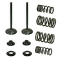 Solid Spare Psychic Exhaust Valve Kit for Honda TRX450R & TRX450ER Sportrax fits 2006-2014