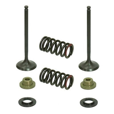 Solid Spare Psychic Exhaust Valve Kit for Yamaha YZ250F fits 2001-2013 & for GAS GAS EC250F