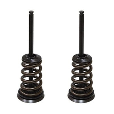 Solid Spare Psychic Intake Valve Kit for KTM 2005-2007 250 SX-F, 2007 250 EXC-F & 250 XC-F