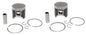2 SPI Standard Bore Piston Kits for Ski-Doo 1000 Summit, Mach Z & MXZ 88mm